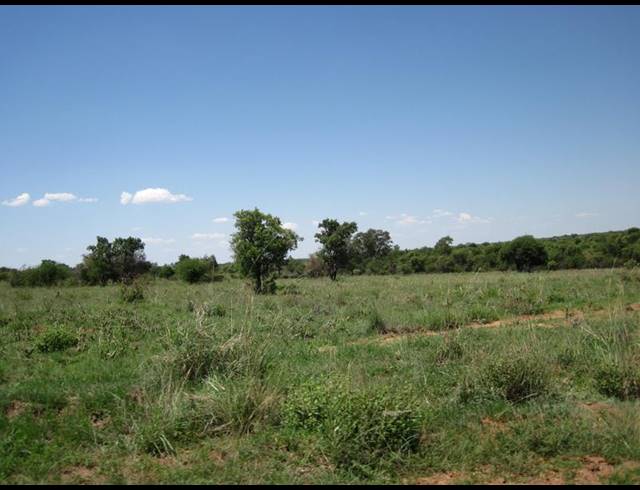 0 BEDROOM HOUSE FOR SALE IN DINOKENG GAME RESERVE